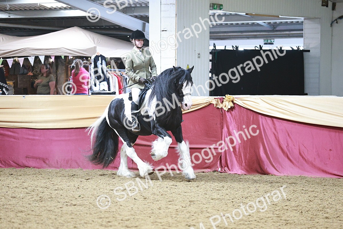 SBM_08910 - Class 12R - Regional Ridden Pre-Vet