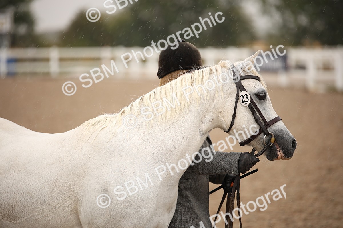 SBM_20701 - Class 705 - IH  Combination 65+