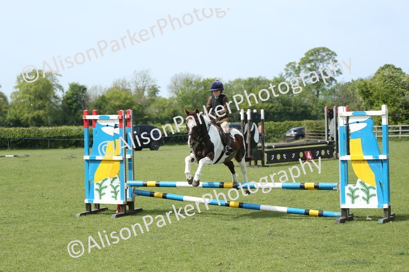 20260426-1776 - Class 14 - Novice 60cm