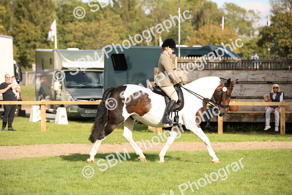 SBM_50180 - S26 - Young Veteran - Ridden