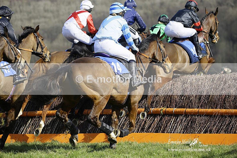 PtP 260222 357 - Kingston Blount Racing Club Point-to-Point 26/02/22
