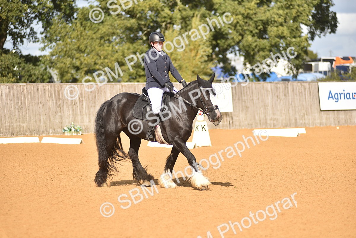 SBM_03276 - D4 - Small Tour Championship Intro 4