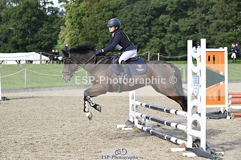 251005A-123835-03863 - Cls 08 Mini 70-75cm