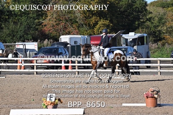 BPP_8650 - SHORT ARENA