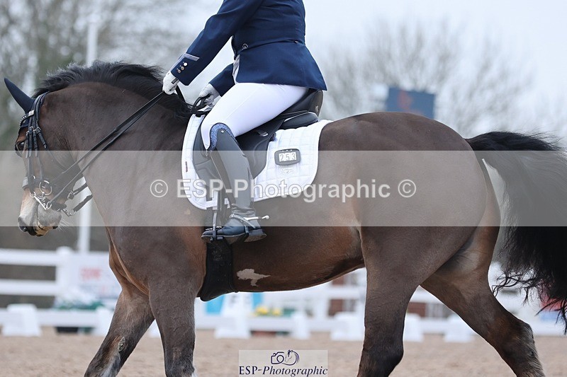 250216-132930-05949 - 253-Alison.Crimp-Crwys.Beau