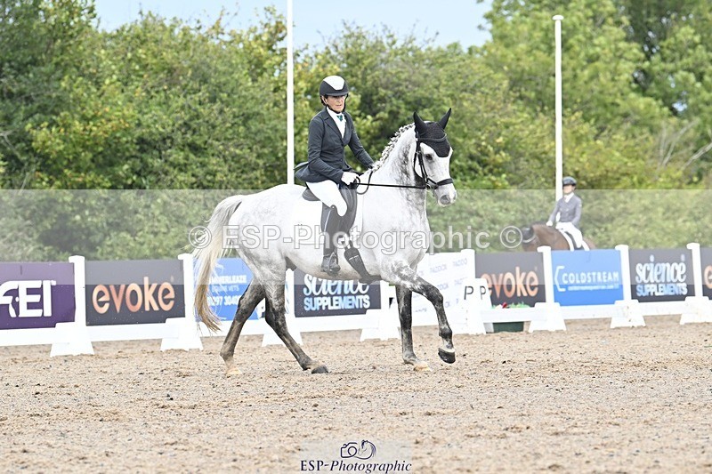 250907-111131-06532 - 072-Jan.ChoppingSeal