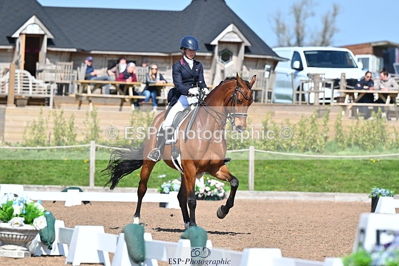 250405-130241-10816 - 028-Elizabeth.Allen-Heraldik