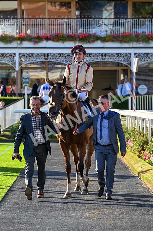 240726-Race 4-Rajaking-0451 - Race 4 19.15pm Tomahawk Handicap