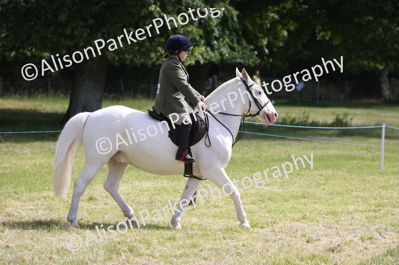 20260614-0784 - Class 20 - Beginners Working Hunter Pony