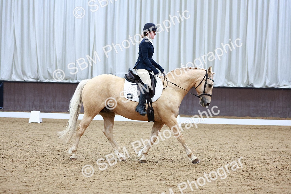 0B8A8319 - Class 5 - Novice 2