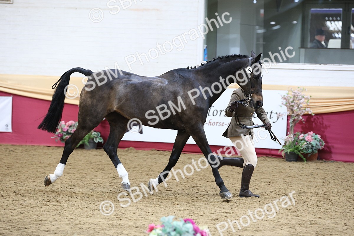 SBM_23634 - Class 904 - Supreme Final - Ridden Diamond