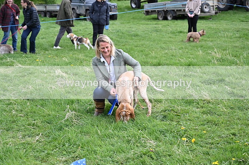 WJ6_8168 - Class 2 Best Pedigree