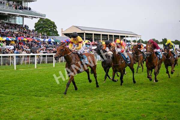 150624-Race 6-Pisanello-8003 - Race 6 4.45pm Ice Co Supporting Macmillan Handicap