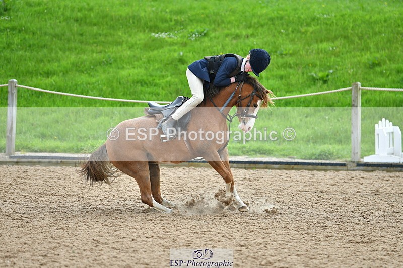 230513A-100700-00280 - Cls 12 Cats & Pipes Champ Quali