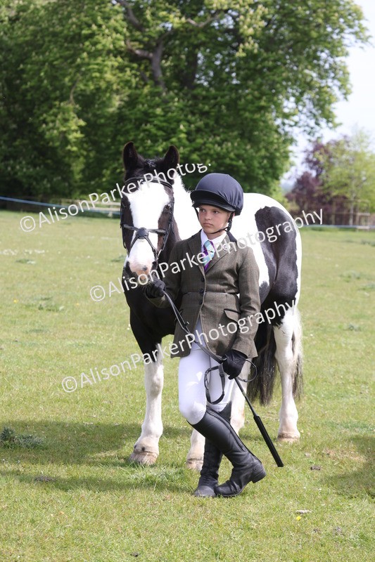 20260426-3321 - Class 27 - Coloured Horses and Ponies