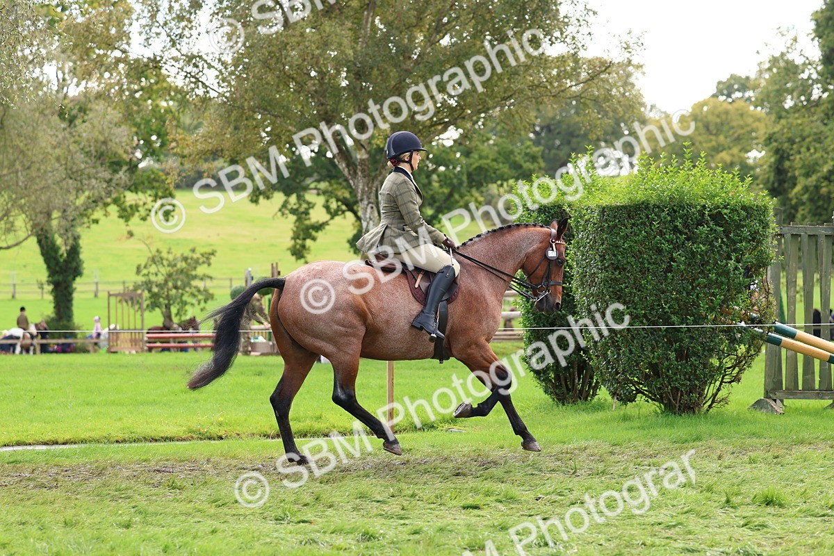 SBM_45204 - S27 - Young Veteran Ridden