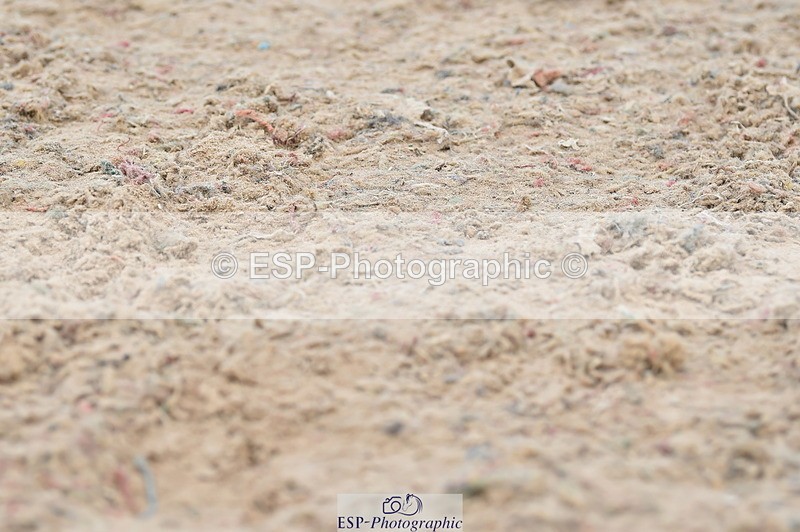 230720A-125524-02685 - Cls 13, 1 Star Bronze 1.10m