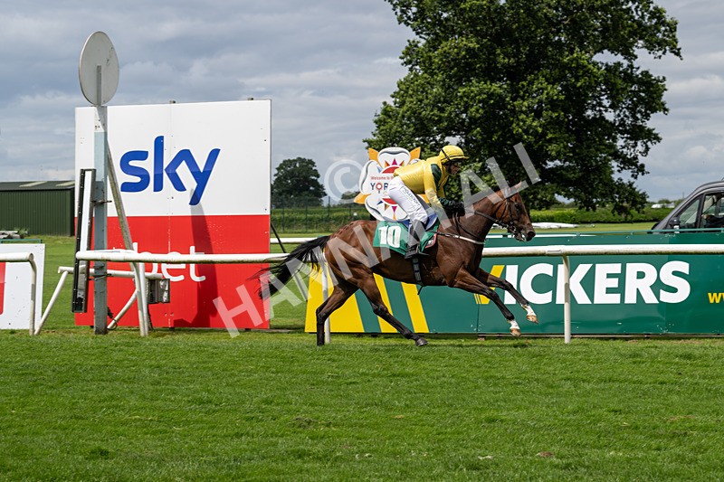 260724-Graham Lee Stable Staff Stakes-3407 - Graham Lee Stable Staff Stakes