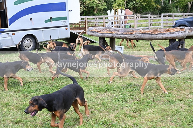 WJ6_3125 - Berks & Bucks - The Old farmhouse - Hound Exercise 20-08-25