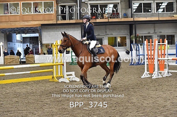 BPP_3745 - FRI CLASS 21 BR NOVICE/90CM