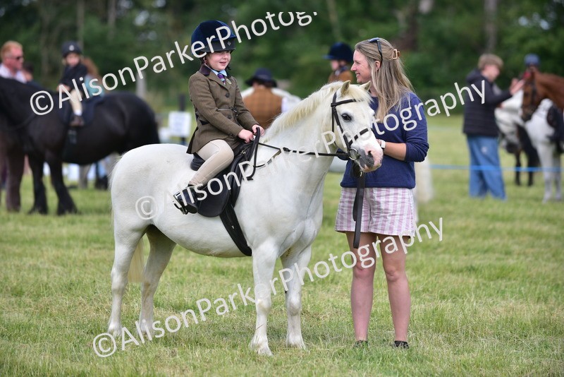 20260614-1219 - Class 11a - Lead Rein Pony (Unplaited)