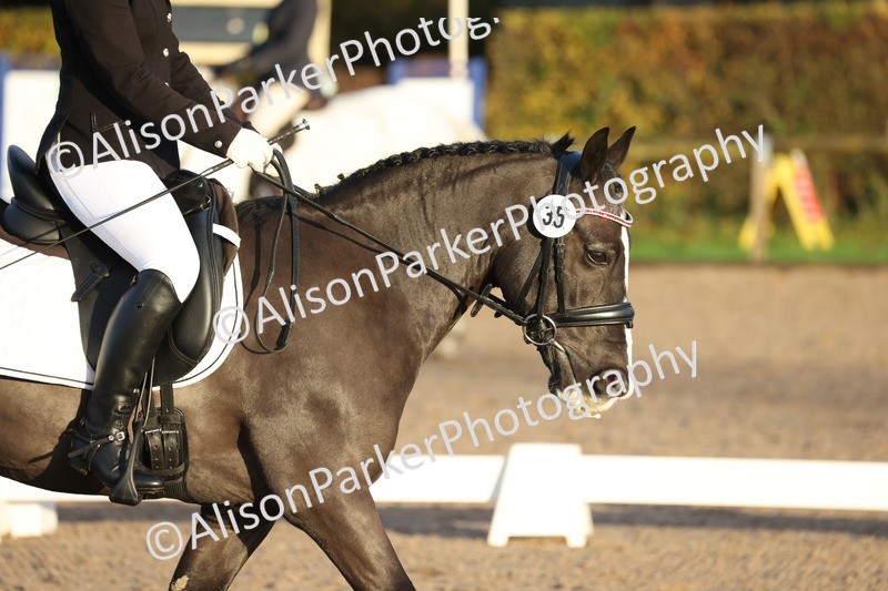 20251102-0004 - Class 1 - Prelim 5