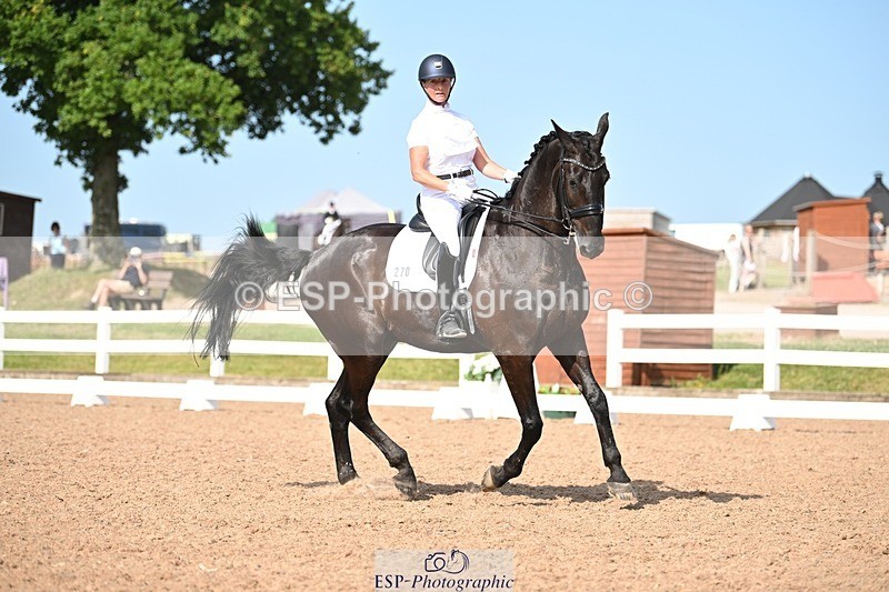 250620-170346-05112 - BD Cls 13 - Adv Medium 5