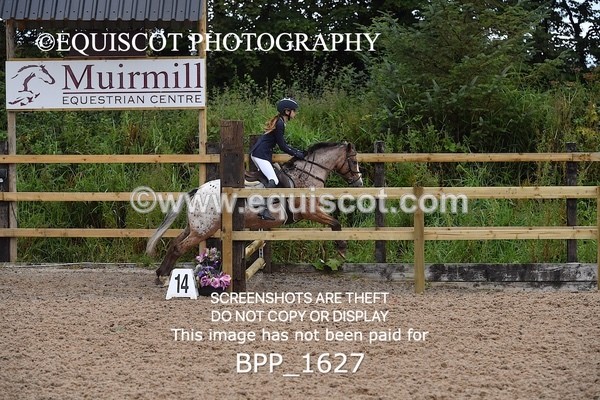 BPP_1627 - DERBY CLASS 4 - 50CM