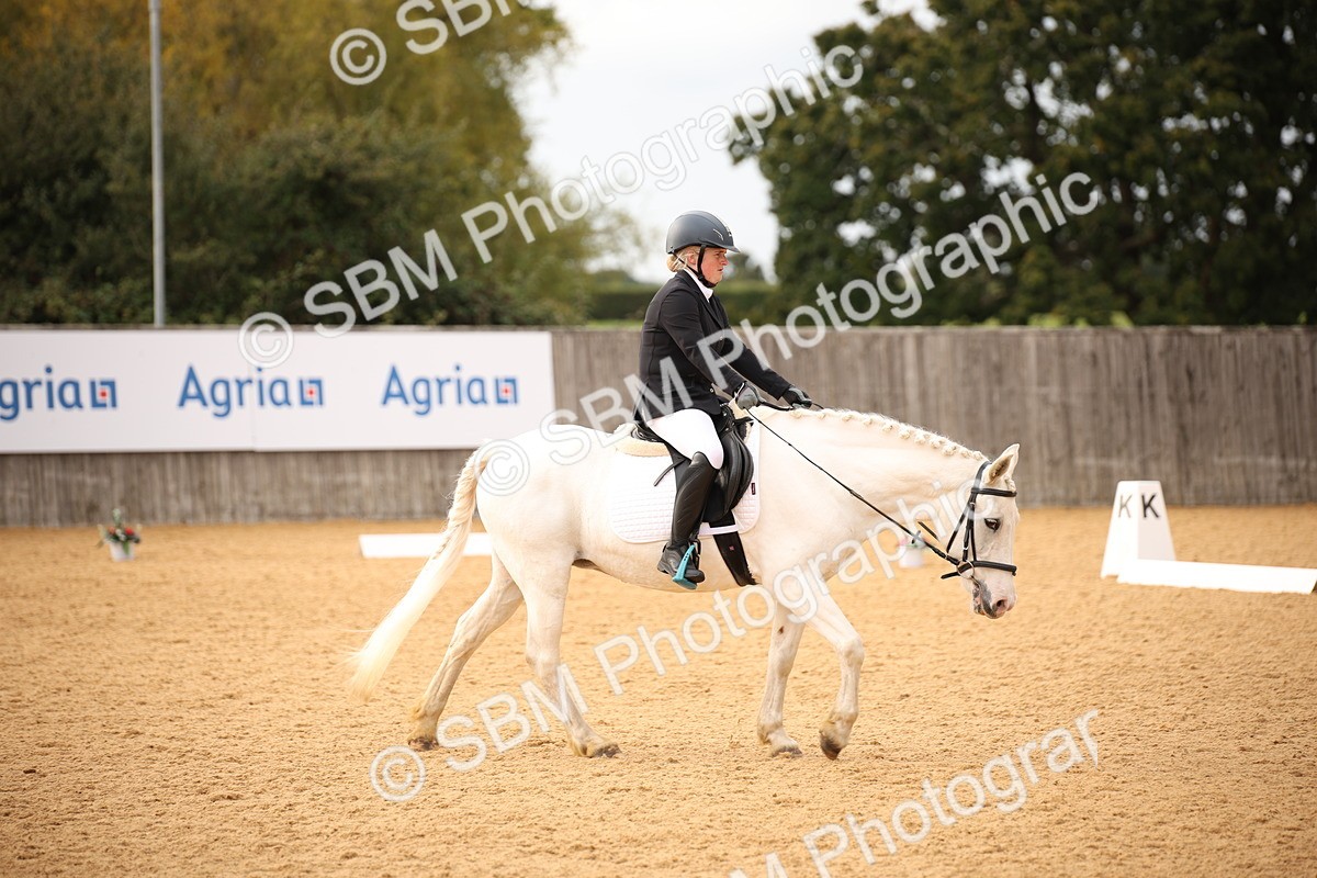 SBM_12312 - D3 Small  Tour Championship Intro A