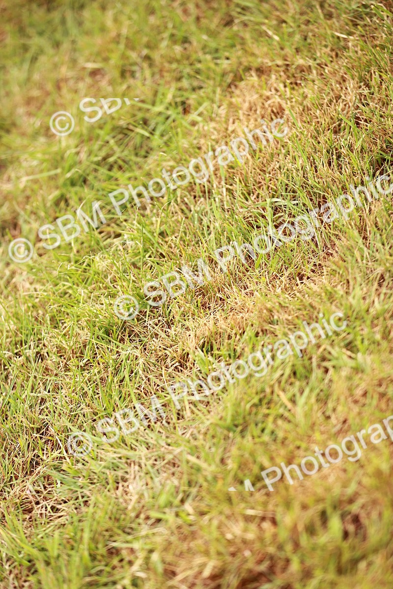 SBM_04543 - Class 5-8 - BSPA In hand