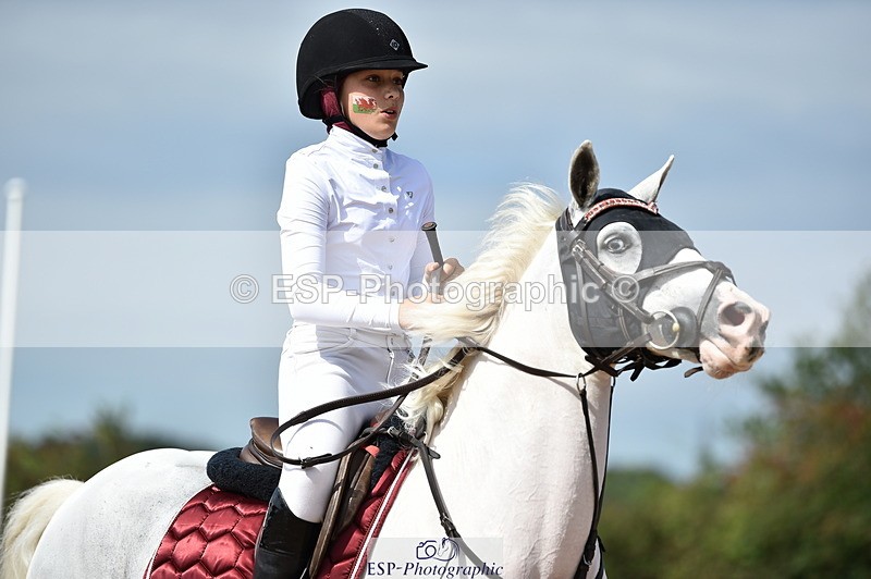 230903A-120602-04371 - Cls 19 Pony Discovery & 90cm Open