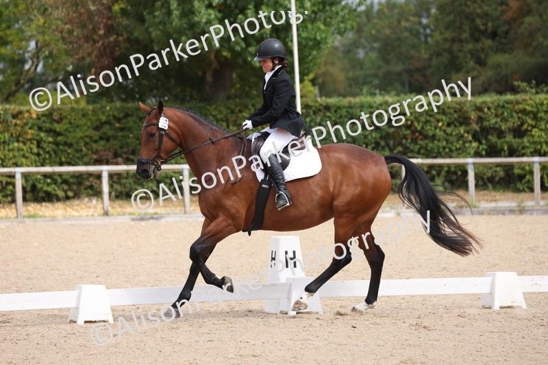 20250820-0500 - Class 14 - Prelim 5