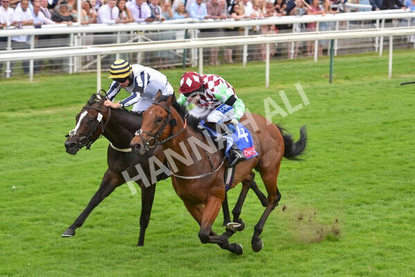 yr24072021r1-88 - Race 1 2.05pm Sky Bet Jump Jockeys Nunthorpe