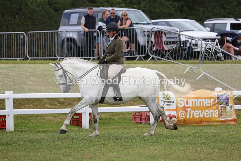 3E7A1463 - Class 9: Open Hunter