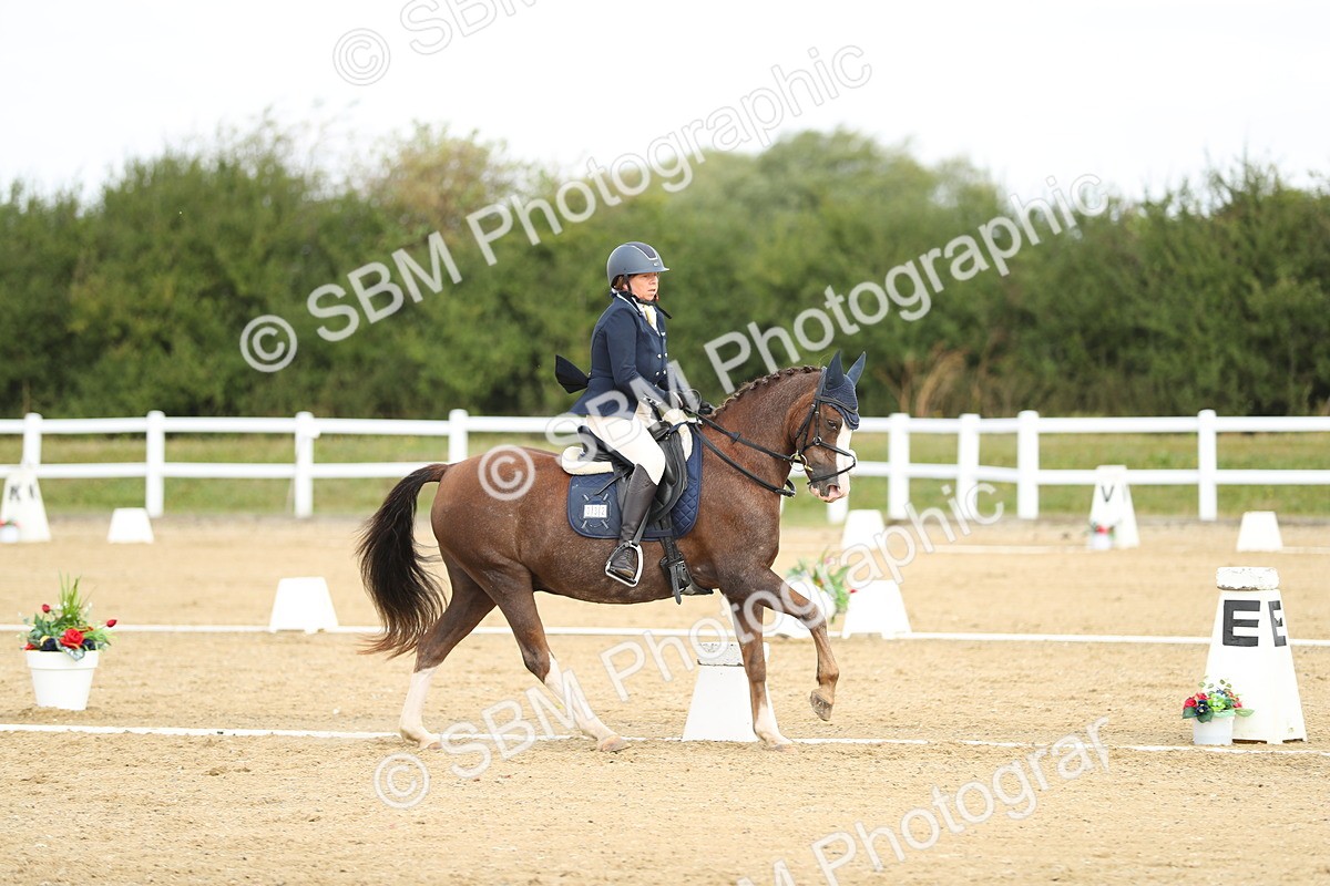 SBM_016304 - Class 13 - Novice 23 - 11.25-12.35
