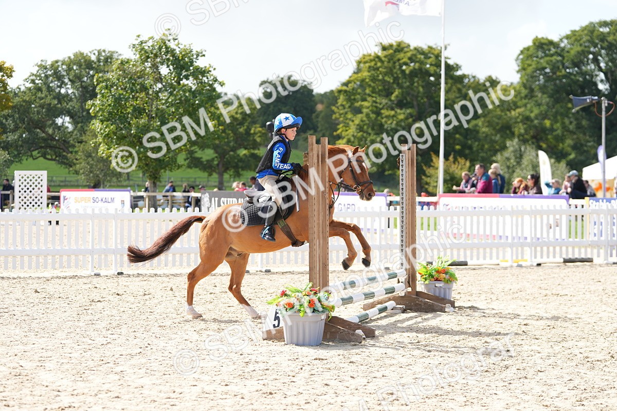 SBM_18041 - J58 - Clear Round 50cm