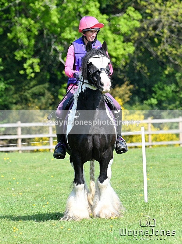 WJ7_6839 - The stables at Tweseldown 27-04-25