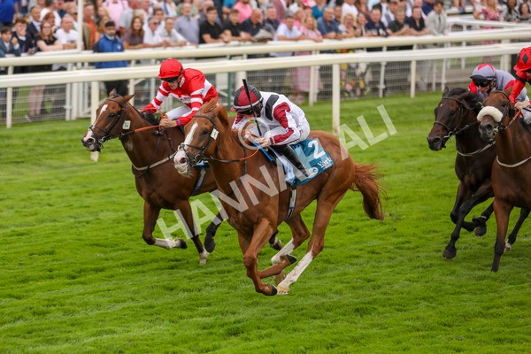 280723-Race 4-Cairn Gorm-2882 - Race 4 6.40pm Tomahawk Restaurants Handicap