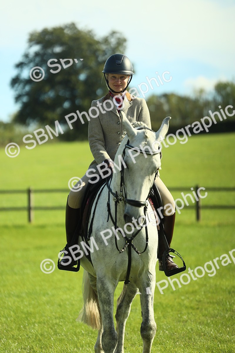SBM_49891 - S32 - Novice & Newcomers Working Hunter