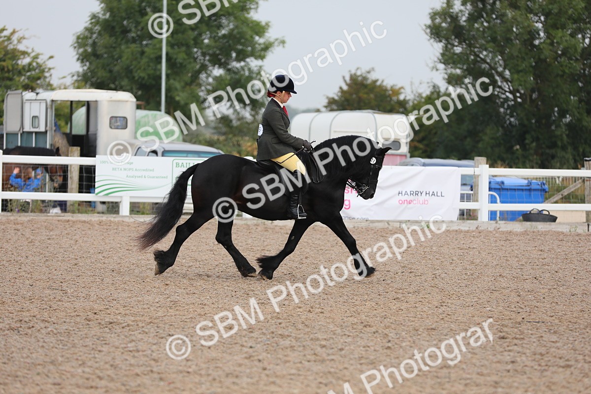 SBM_09986 - Class 302 Ridden M&M -Large Breeds