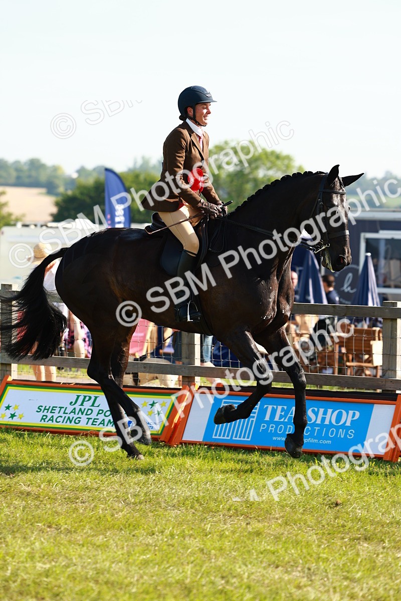 SBM_10969 - Class 66-69 - RIHS Ridden Hunters Inc Small Hunter