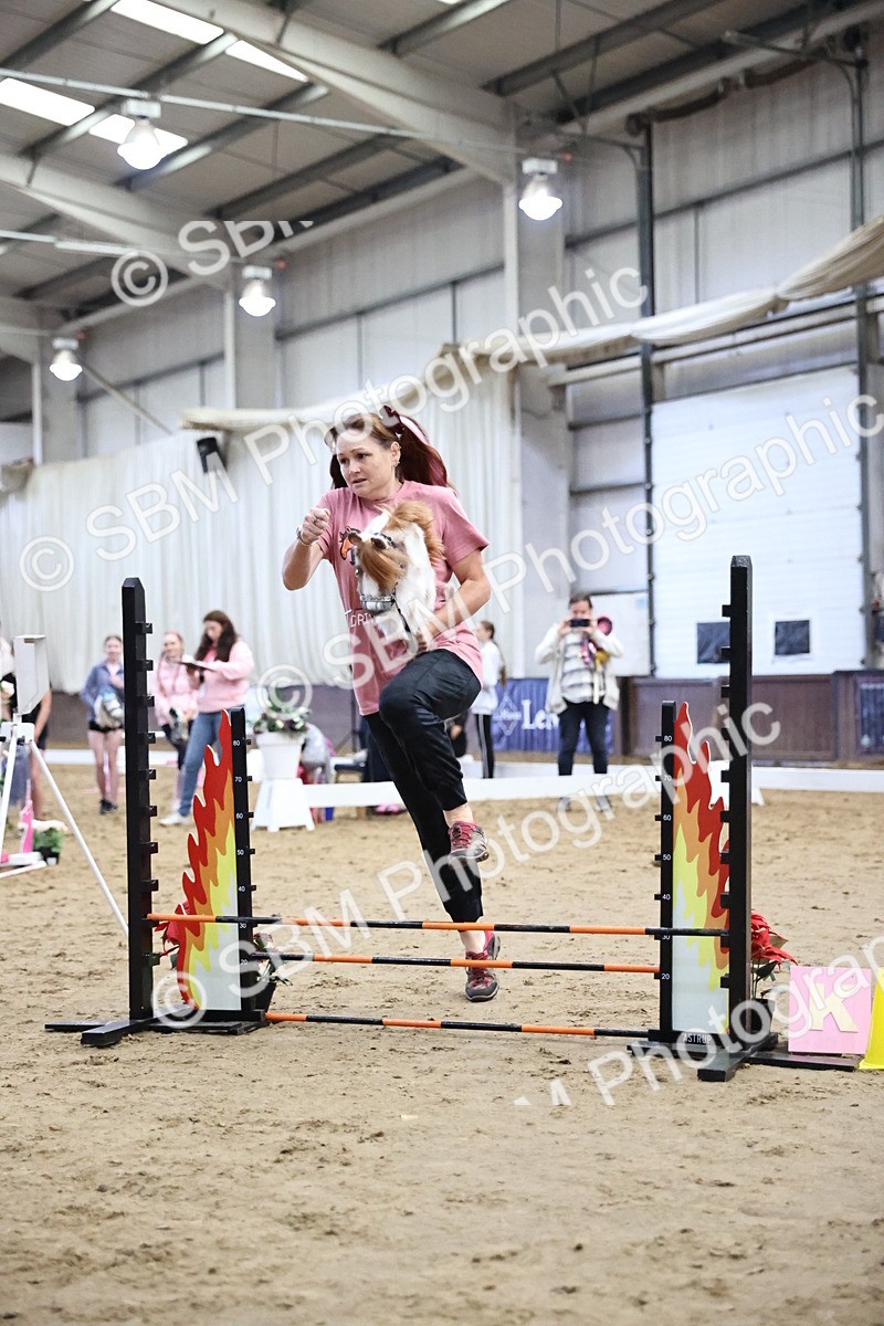 SBM_000767 - Class 8 - 30cm