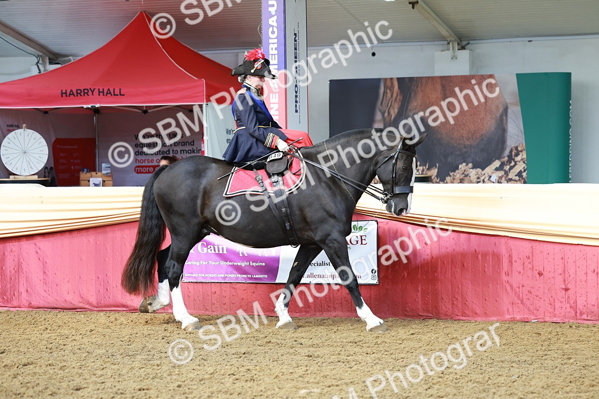 SBM_13533 - Class 105 - Ridden Costume - Side Saddle
