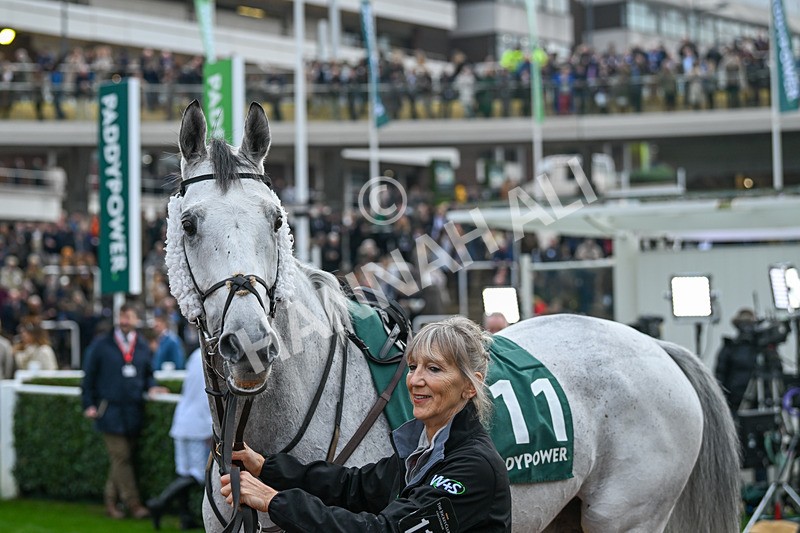 161124-Race 5-Paddock-Thanksforthehelp-0778 - Race 5