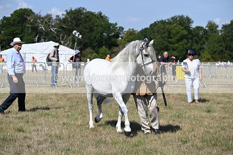 WJ6_4742 - Class 17 Mountain & Moorland