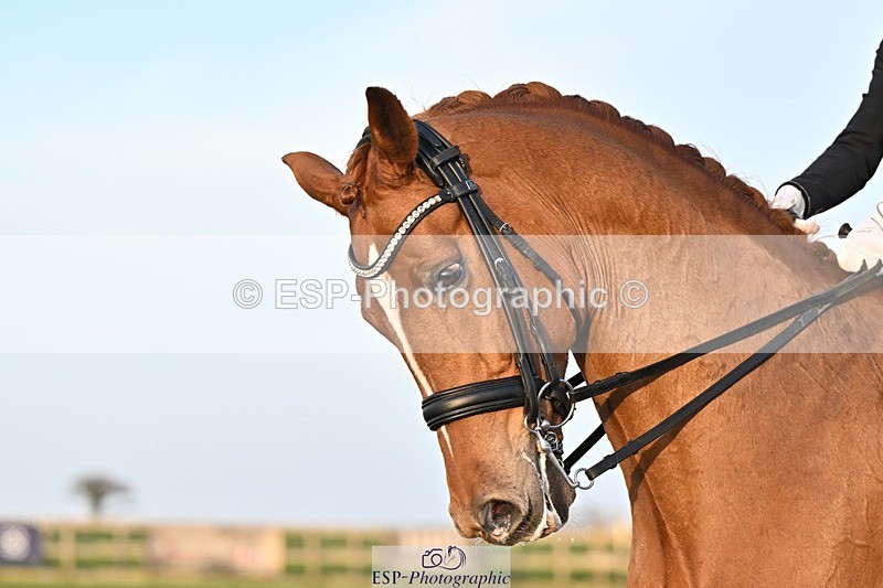 250404-190002-08763 - 195-Sarah.Millis-Impressive.VDC