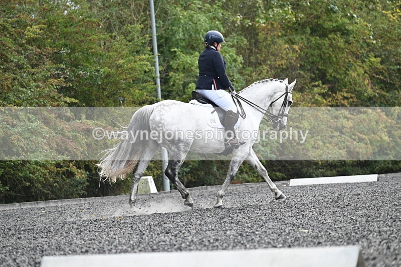 WJ7_6900 - Time 14:49 to 15:14