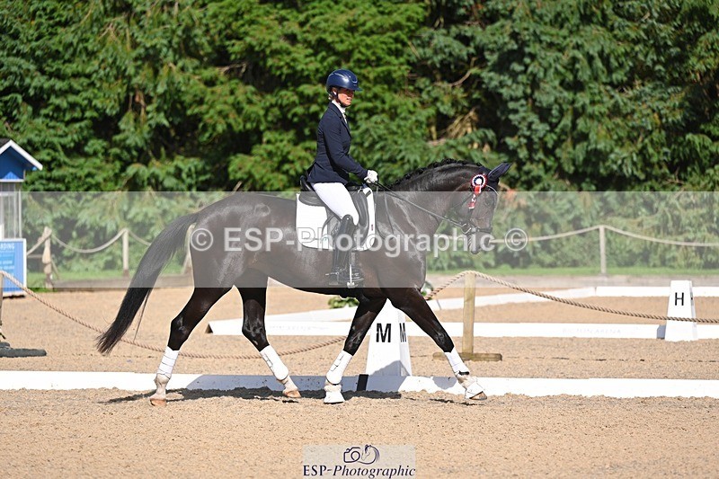 240809-163642-02435 - Novice Gold