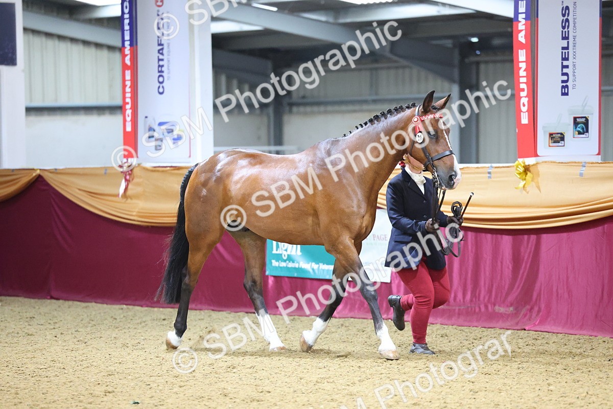 SBM_19408 - Class 901 - Supreme Final - IH Diamond