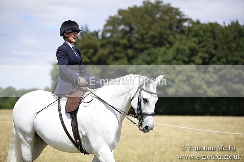 _C7A0204 - Side Saddle Classes BVRC Show 2018